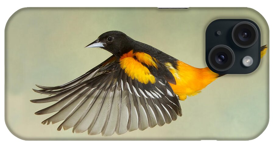 Nature iPhone Case featuring the photograph Zip-a-Dee-Doo-Dah #1 by Gerry Sibell