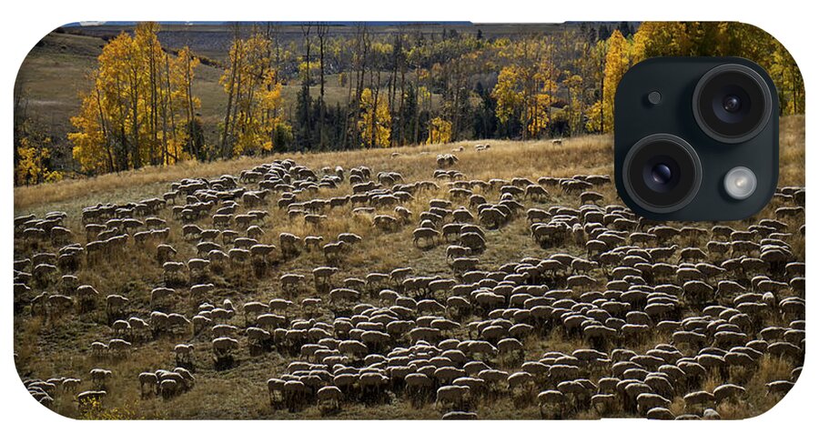 Sheep iPhone Case featuring the photograph 1000 Sheep Above Telluride Colorado by Mary Lee Dereske