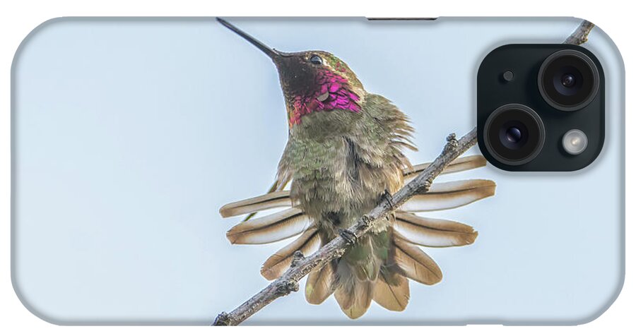 Anna's iPhone Case featuring the photograph Anna's Hummingbird #11 by Tam Ryan