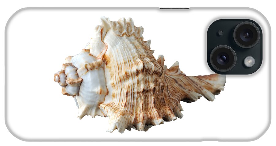 Shell iPhone Case featuring the photograph Sea shell #11 by George Atsametakis