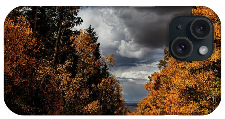 Autumn iPhone Case featuring the photograph Rocky Mountain Fall #124 by Mark Smith