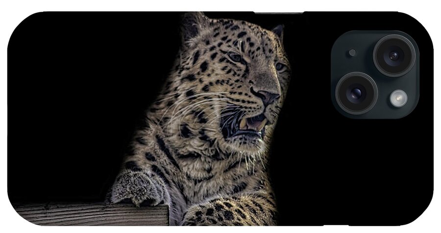 Leopard iPhone Case featuring the photograph Amur Leopard #13 by Martin Newman
