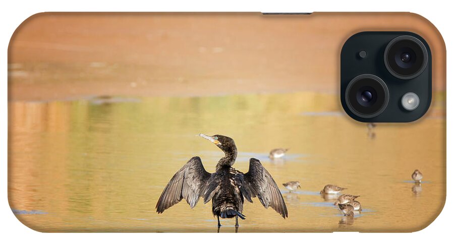 Neotropic iPhone Case featuring the photograph Neotropic Cormorant #13 by Tam Ryan