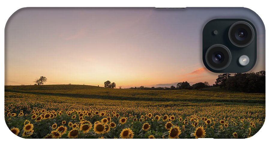 Sunflower iPhone Case featuring the photograph Sunflower Sunset #13 by Ryan Heffron