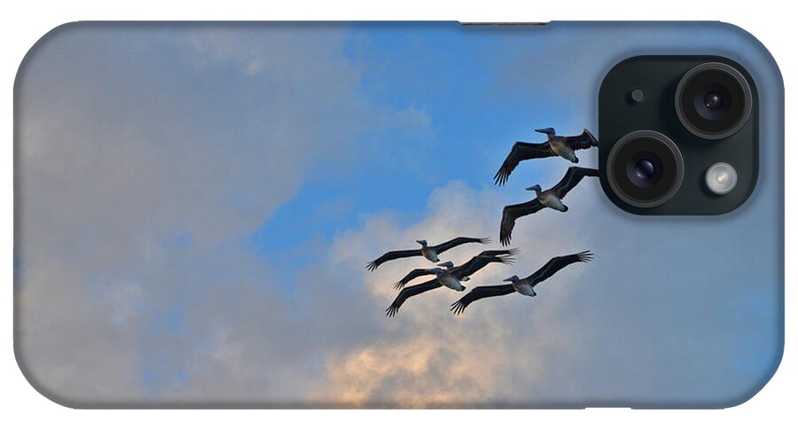  iPhone Case featuring the photograph 14- Pelican Patrol by Joseph Keane