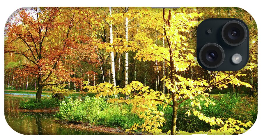 Autumn iPhone Case featuring the photograph Autumn landscape #15 by Irina Afonskaya