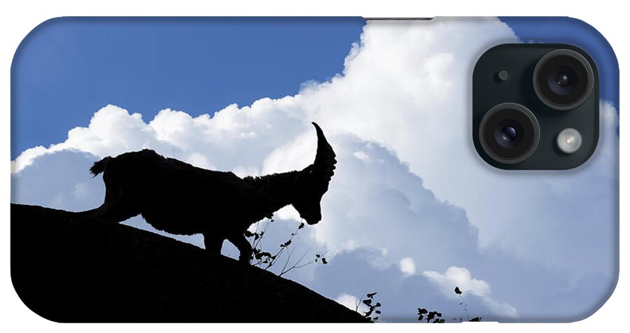 Alpine Ibex iPhone Case featuring the photograph 150622p053 by Arterra Picture Library