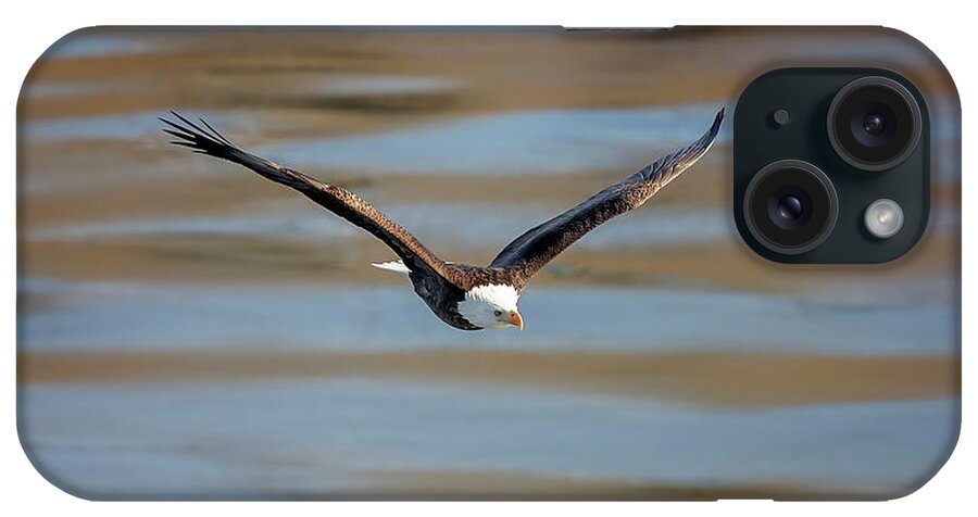 Illinois iPhone Case featuring the photograph Bald Eagle #16 by Peter Lakomy