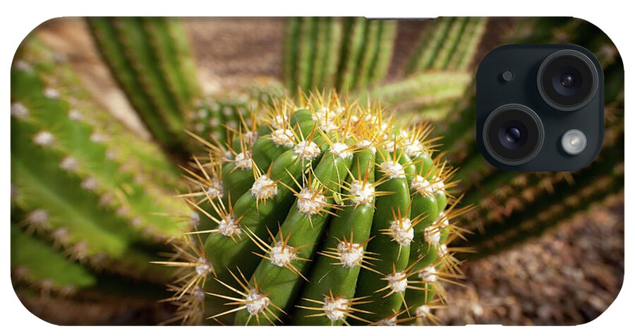 Cactus iPhone Case featuring the photograph Textures of Arizona #17 by John Magyar Photography