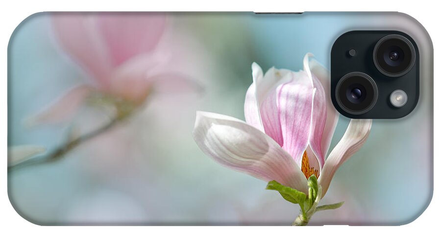 Magnolia iPhone Case featuring the photograph Magnolia Flowers #17 by Nailia Schwarz