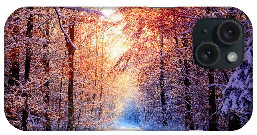 Winter iPhone Case featuring the photograph Winter #17 by Jackie Russo