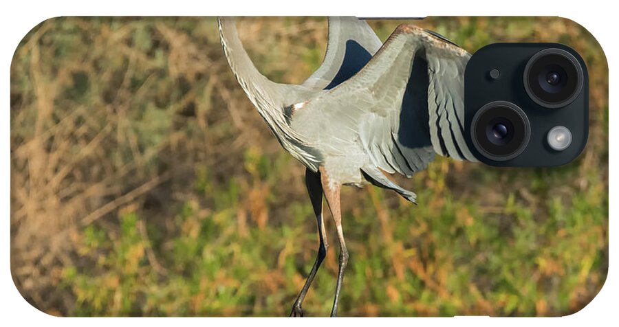 Great iPhone Case featuring the photograph Great Blue Heron #18 by Tam Ryan