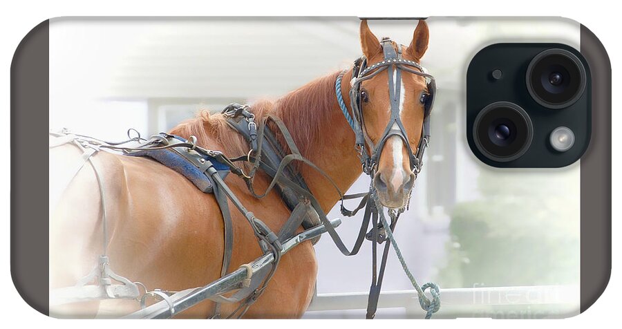 Amish iPhone Case featuring the photograph All Decked Out by Dyle  Warren