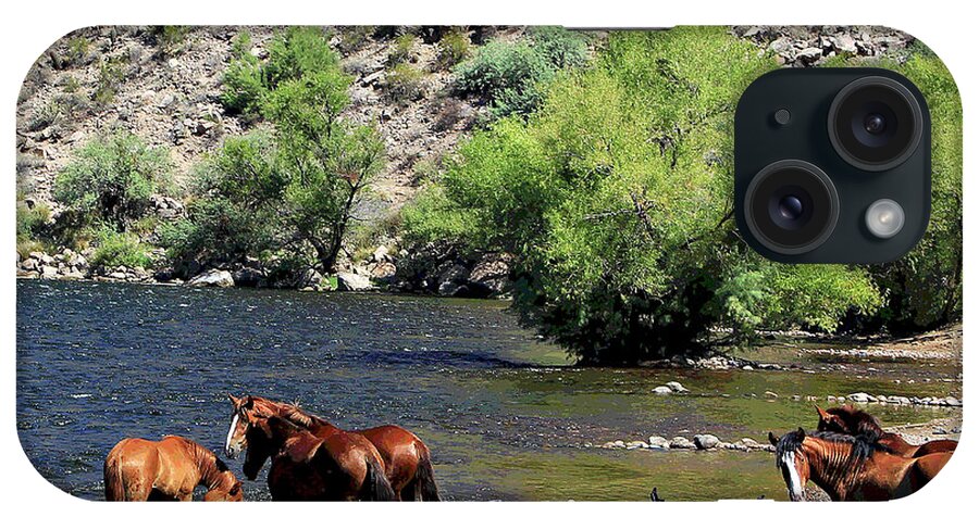 Horses iPhone Case featuring the photograph Arizona Wild Horses #3 by Matalyn Gardner