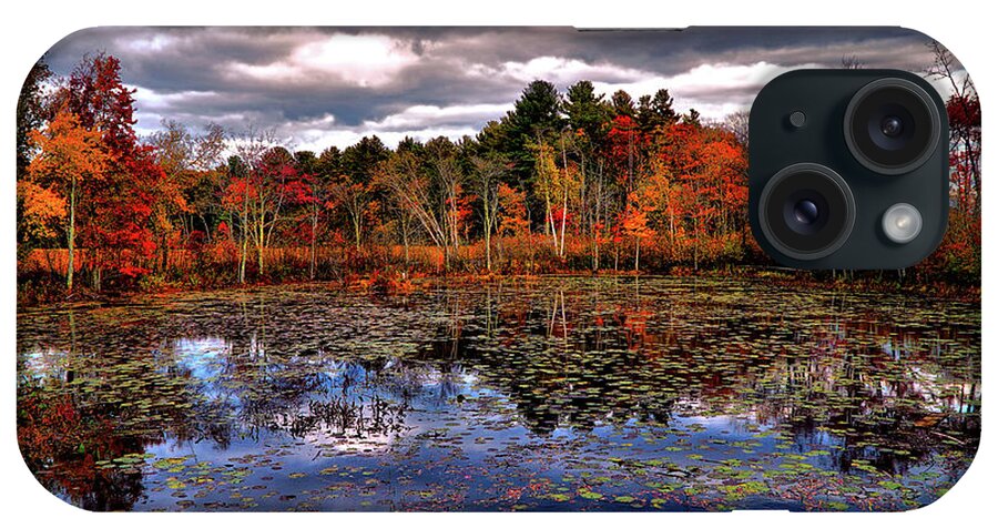 Autumn iPhone Case featuring the digital art Autumn Landscape #2 by Lilia S