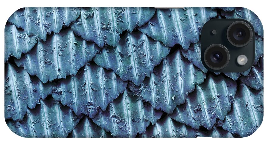 Skin iPhone Case featuring the photograph Blacktip Reef Shark Skin, Sem #2 by Ted Kinsman