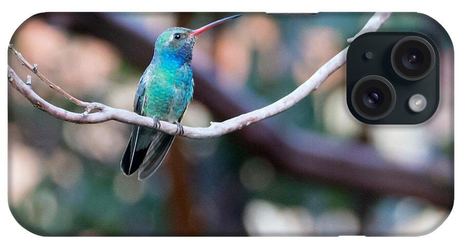 Broad-billed_hummingbird iPhone Case featuring the photograph Broad-billed Hummingbird #2 by Tam Ryan