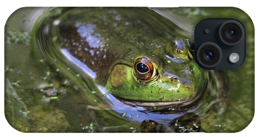 Bullfrog iPhone Case featuring the photograph Bullfrog Stony Brook New York #2 by Bob Savage