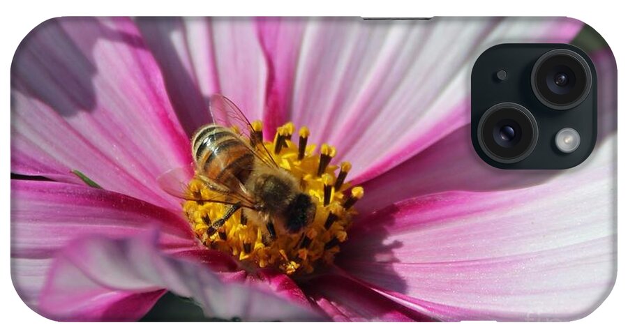 Bee iPhone Case featuring the photograph Busy Bee #3 by Yumi Johnson