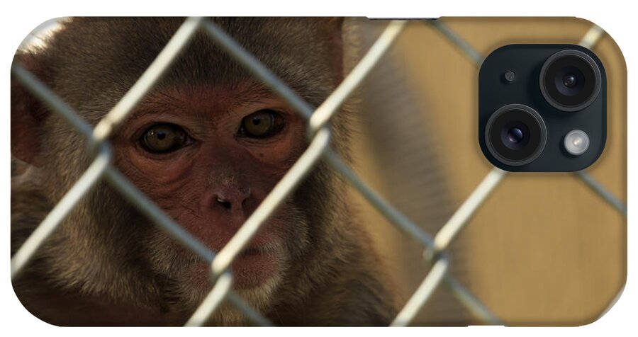 Monkey iPhone Case featuring the photograph Caged Monkey #2 by Travis Rogers