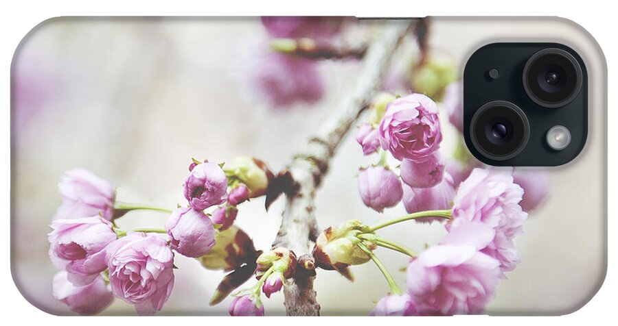 Cherry Blossom iPhone Case featuring the photograph Cherry Blossoms #2 by Ivy Ho