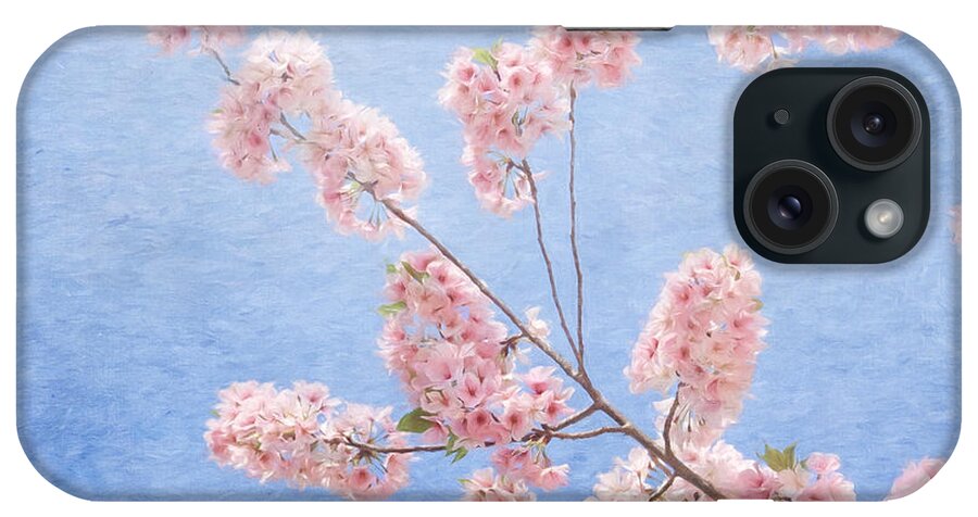 Cherry Blossom iPhone Case featuring the photograph Cherry Blossoms #2 by Kim Hojnacki