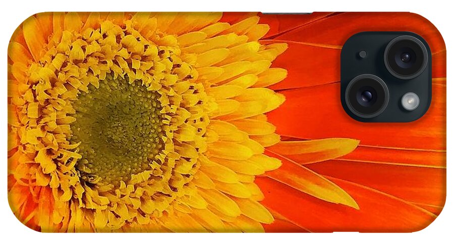 Flora iPhone Case featuring the photograph Explosion of color #2 by Bruce Bley