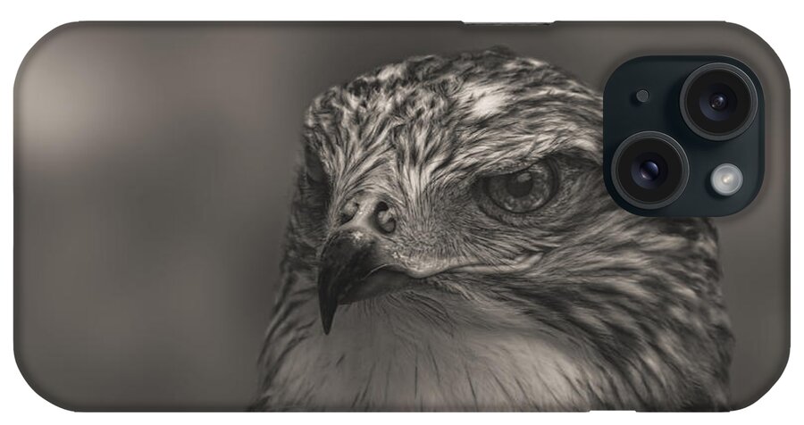 Animal iPhone Case featuring the photograph Ferruginous Hawk #2 by Brian Cross