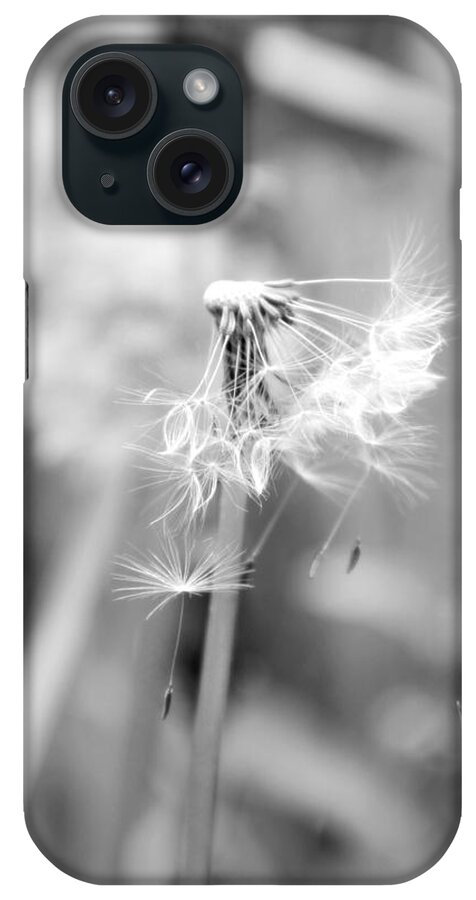 Flowers iPhone Case featuring the photograph Hanging On #2 by Becca Wilcox
