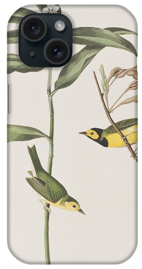 Hooded Warbler iPhone Case featuring the painting Hooded Warbler by John James Audubon