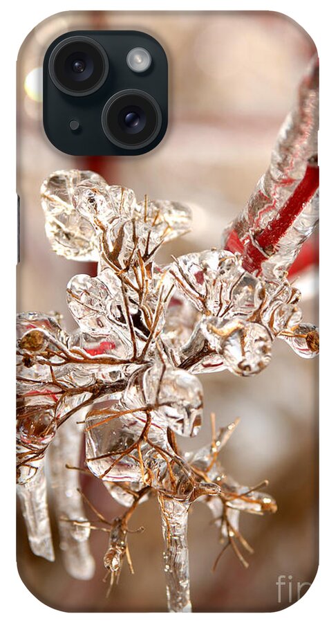 Icy iPhone Case featuring the photograph Icy Branches #2 by JT Lewis