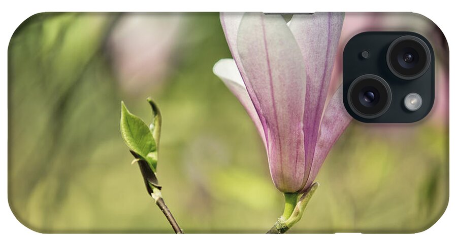 Magnolia iPhone Case featuring the photograph Magnolia #2 by Nailia Schwarz