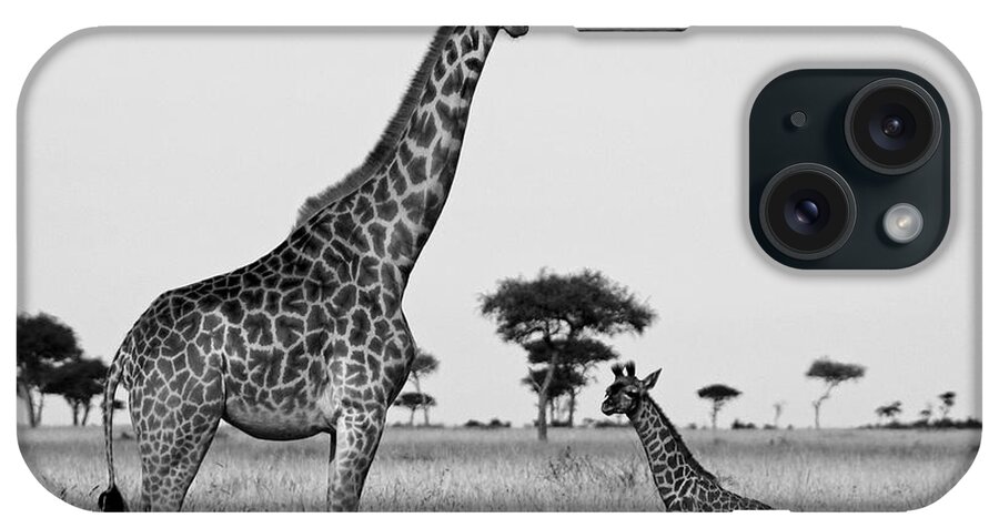Africa iPhone Case featuring the photograph Meet My Little One #2 by Michele Burgess