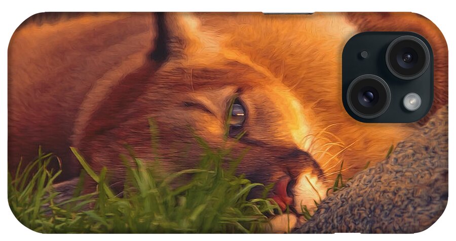 Animal iPhone Case featuring the photograph Mountain Lion #2 by Brian Cross