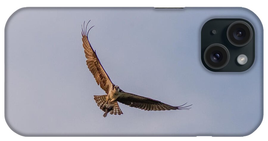 New Jersey iPhone Case featuring the photograph Osprey in flight #2 by SAURAVphoto Online Store