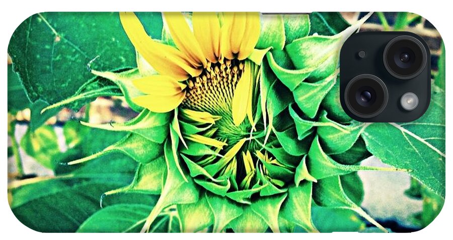 Peeper iPhone Case featuring the photograph Peeping Sunflower by Angela Annas