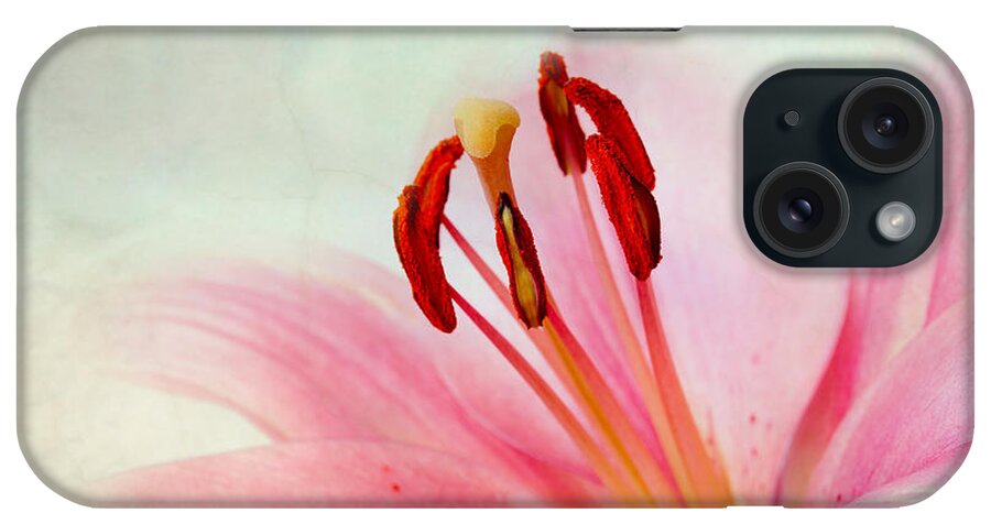 Lily iPhone Case featuring the photograph Pink Lily #2 by Nailia Schwarz