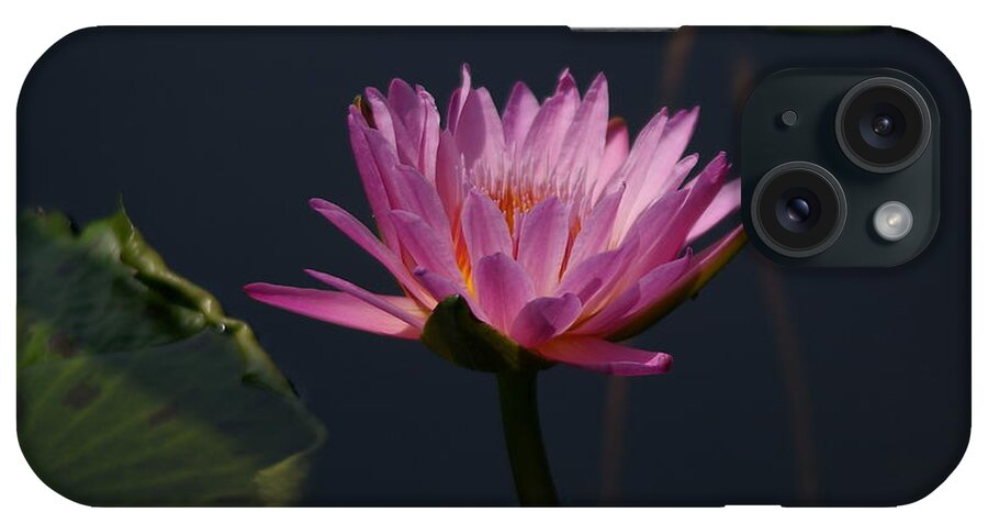 Purple iPhone Case featuring the photograph Purple Lotus Waterlily #2 by Jackie Irwin