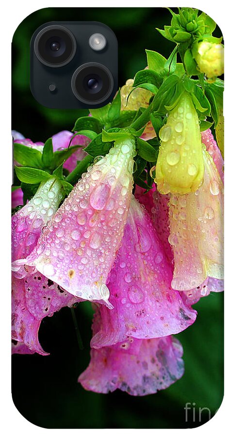 Foxgloves iPhone Case featuring the photograph Raindrops #3 by Judi Bagwell