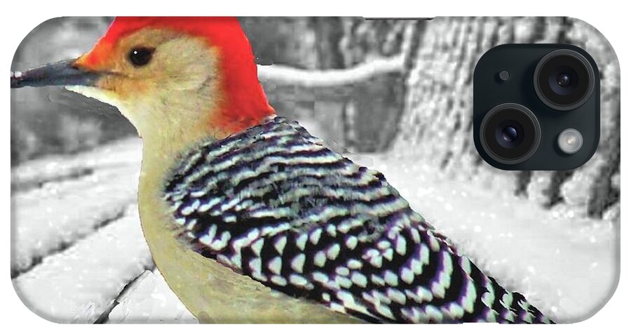 Red Bellied Woodpecker iPhone Case featuring the photograph Woodpecker in Winter by Janette Boyd