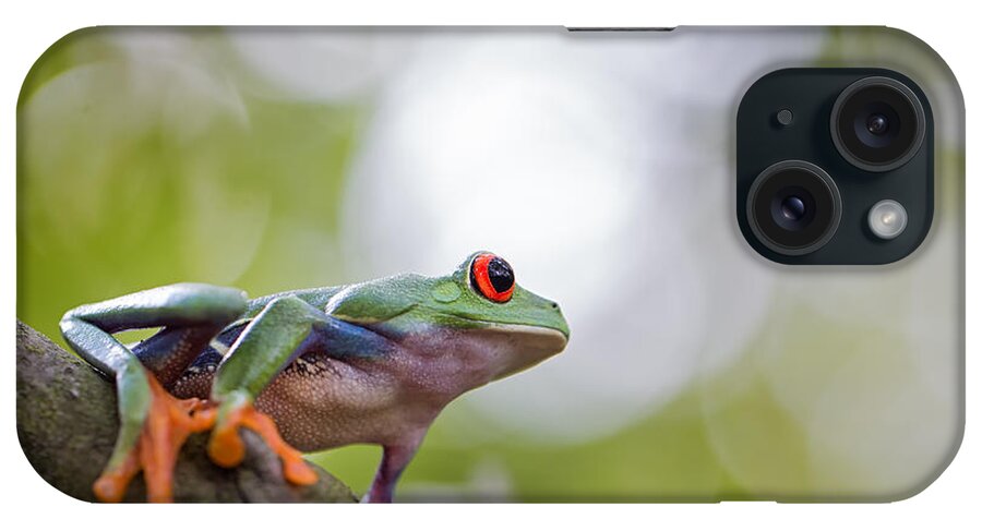 Costa Rica iPhone Case featuring the photograph red eyed tree frog Costa Rica #2 by Dirk Ercken