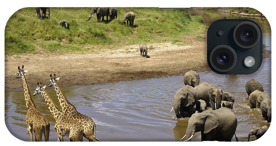 Africa iPhone Case featuring the photograph River Crossing #2 by Michele Burgess