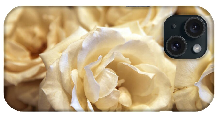 Roses iPhone Case featuring the photograph Roses #2 by Amanda Barcon
