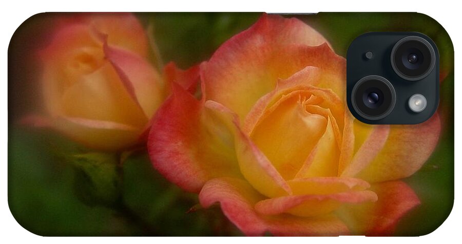 Two Roses iPhone Case featuring the photograph 2 Roses by Richard Cummings