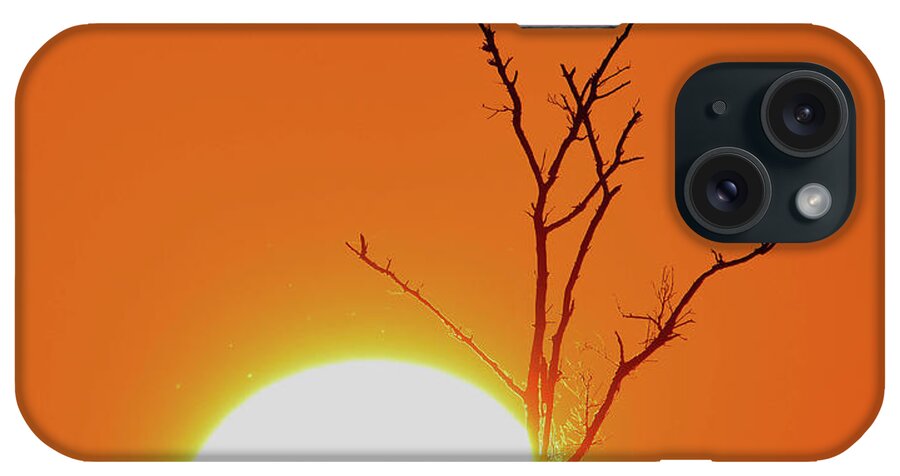 Morning iPhone Case featuring the photograph Sanibel Morning #2 by Jim Bennight