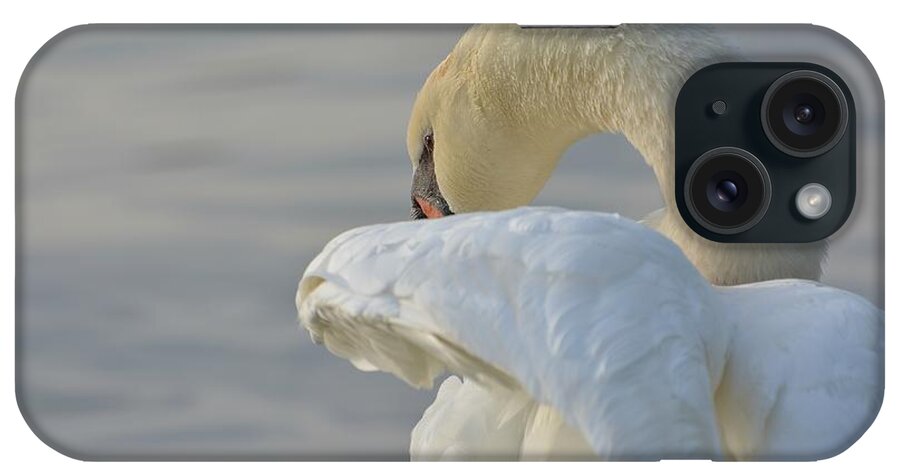 Mute Swan iPhone Case featuring the photograph Shy #2 by Fraida Gutovich