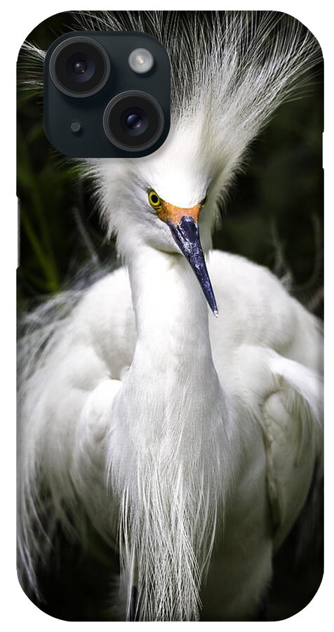Snowy Egret iPhone Case featuring the photograph Snowy Egret #2 by Fran Gallogly