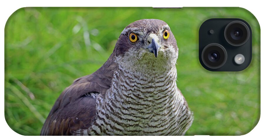 Sparrowhawk iPhone Case featuring the photograph Sparrowhawk #2 by Tony Murtagh