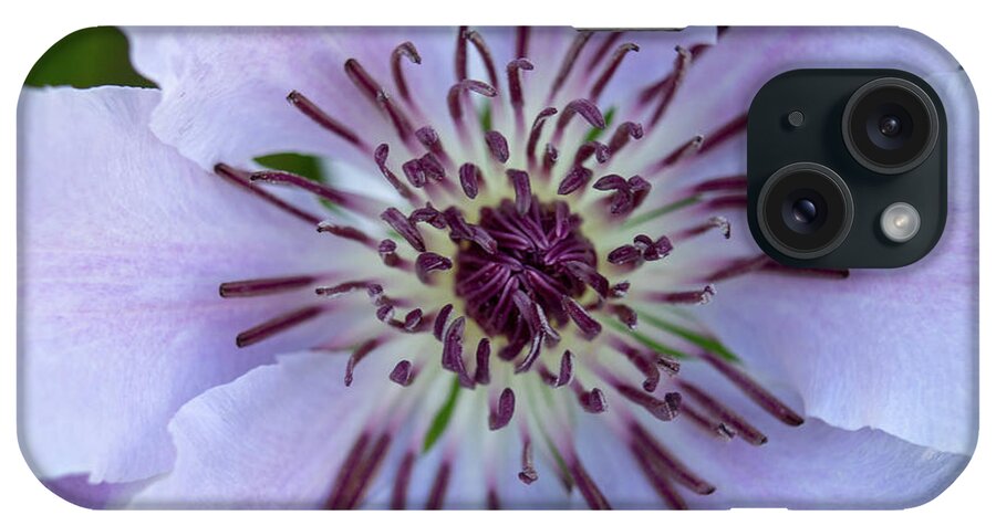  iPhone Case featuring the photograph Spring #2 by Brian Jones