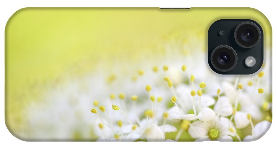 Tree iPhone Case featuring the photograph Spring Flowers #2 by Nailia Schwarz